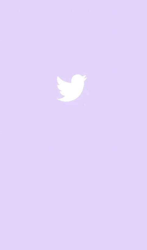 Twitter 482X820 Wallpaper and Background Image