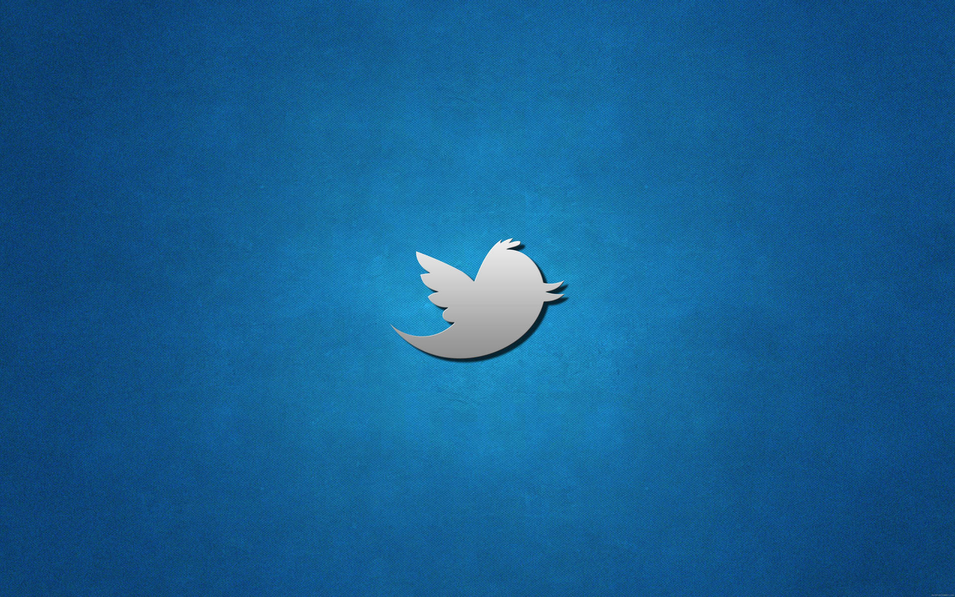 Twitter 5120X3200 Wallpaper and Background Image
