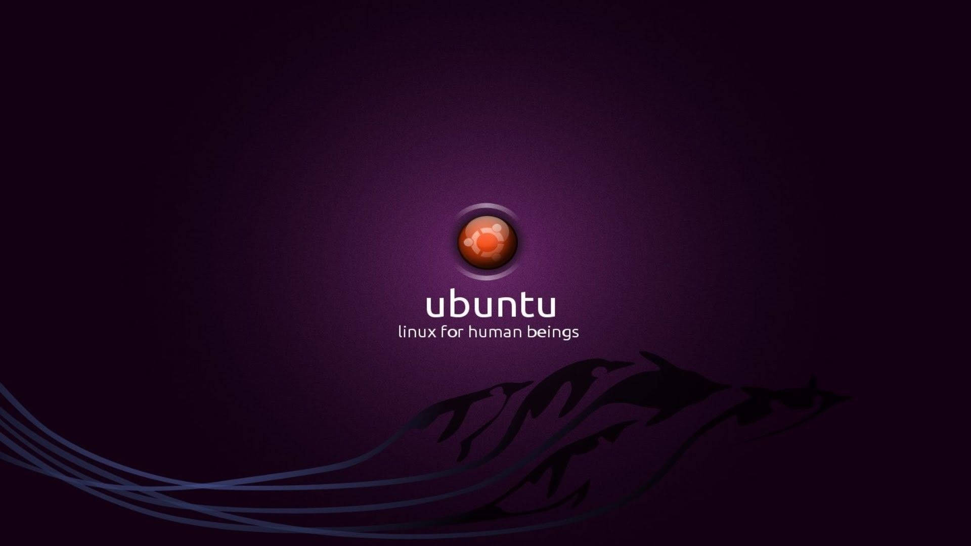 Ubuntu 1920X1080 Wallpaper and Background Image