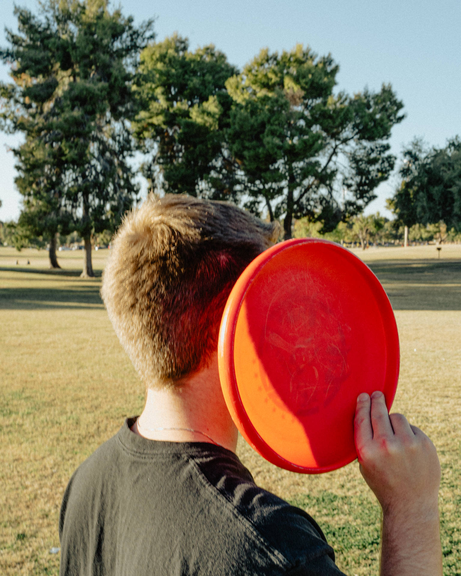 Ultimate Frisbee 3738X4672 Wallpaper and Background Image