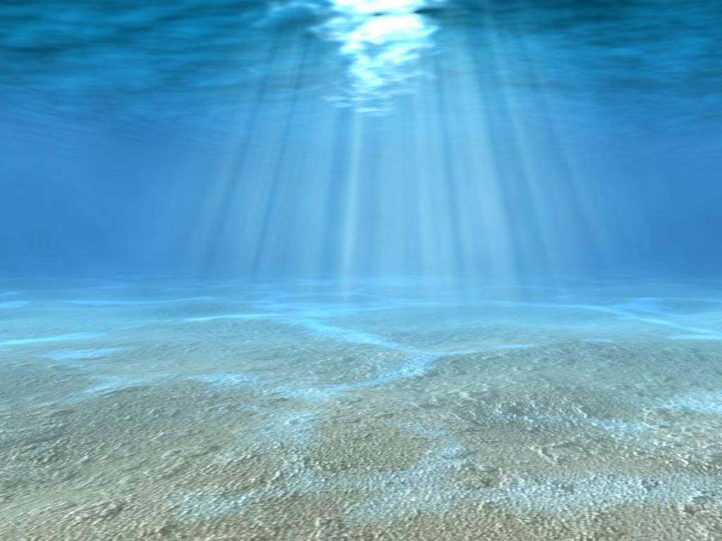 Underwater 1024X768 Wallpaper and Background Image