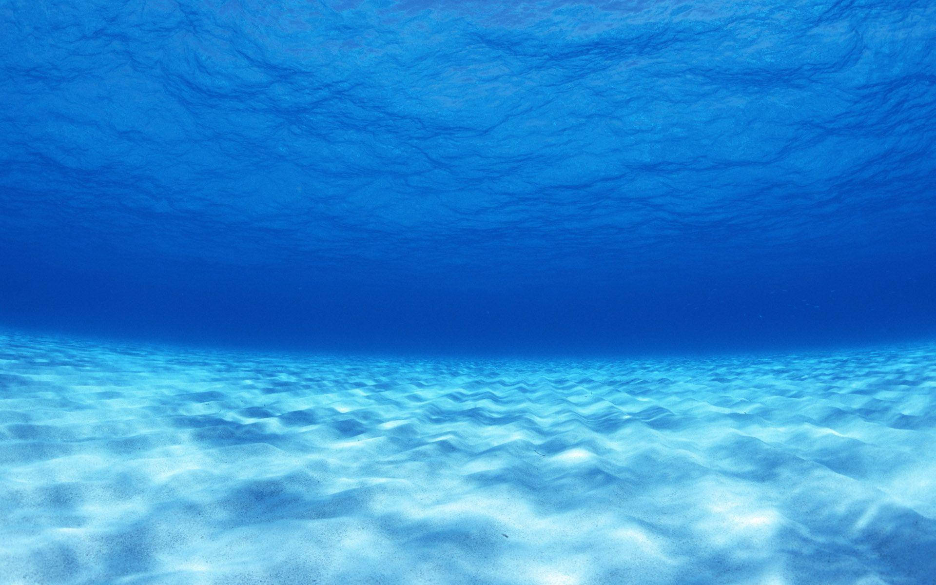 Underwater 1920X1200 Wallpaper and Background Image