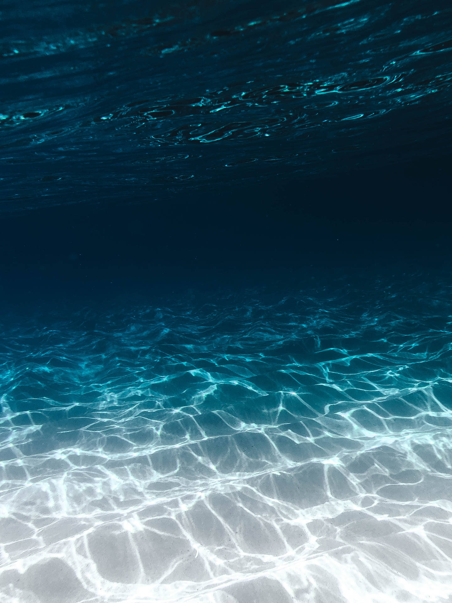 Underwater 2878X3837 Wallpaper and Background Image