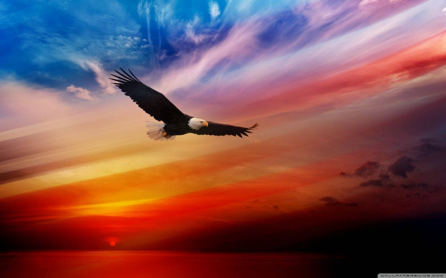 Usa 1440X900 Wallpaper and Background Image