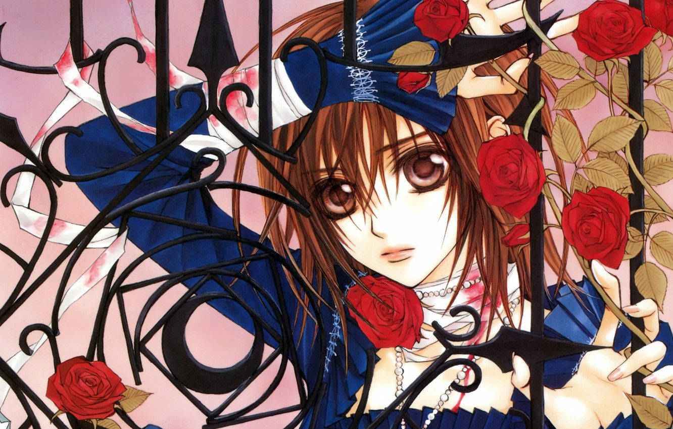 1332X850 Vampire Knight Wallpaper and Background