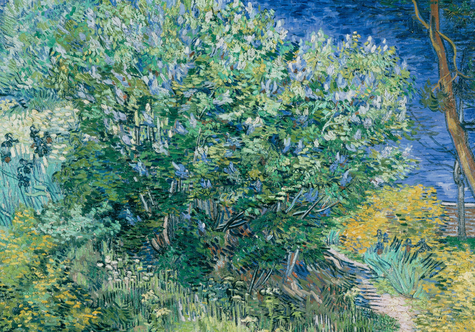 Van Gogh 5120X3585 Wallpaper and Background Image