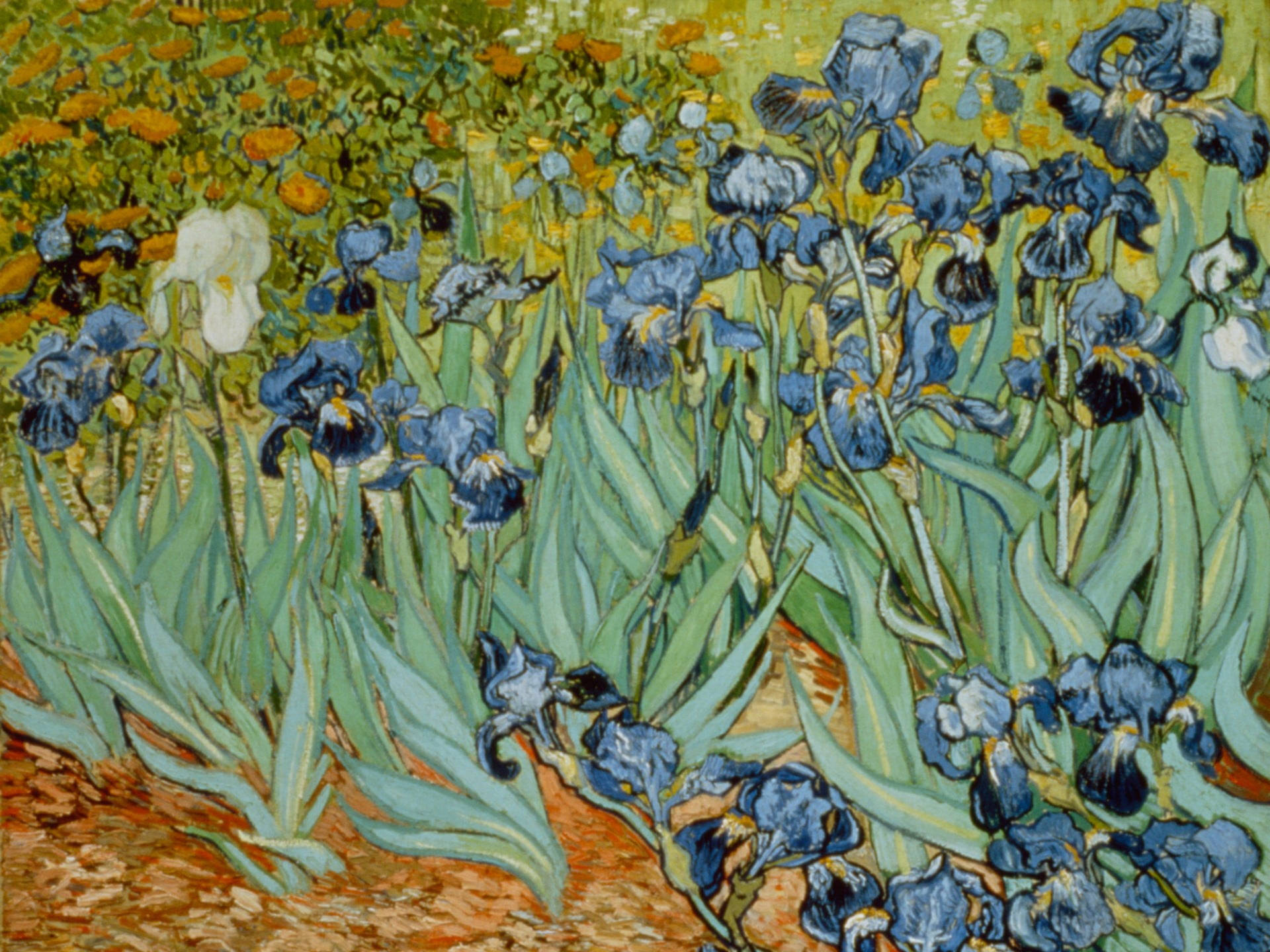 Van Gogh 5120X3840 Wallpaper and Background Image