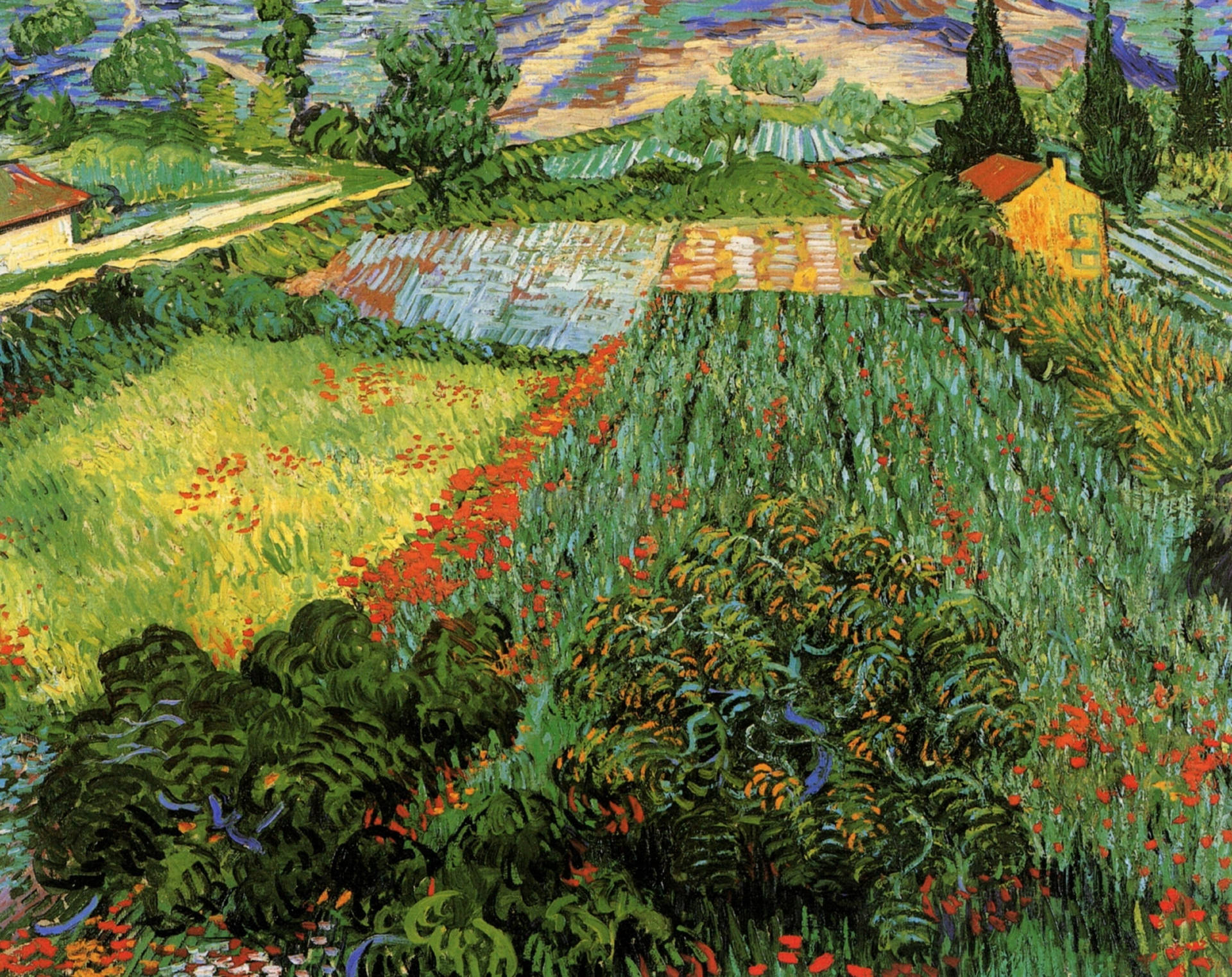 Van Gogh 5120X4062 Wallpaper and Background Image