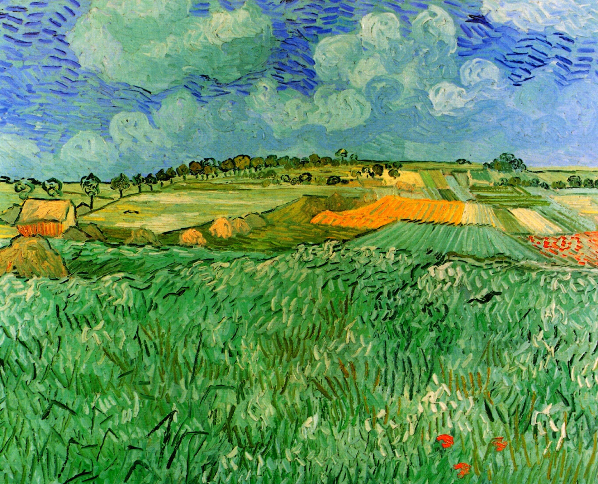 Van Gogh 5120X4145 Wallpaper and Background Image