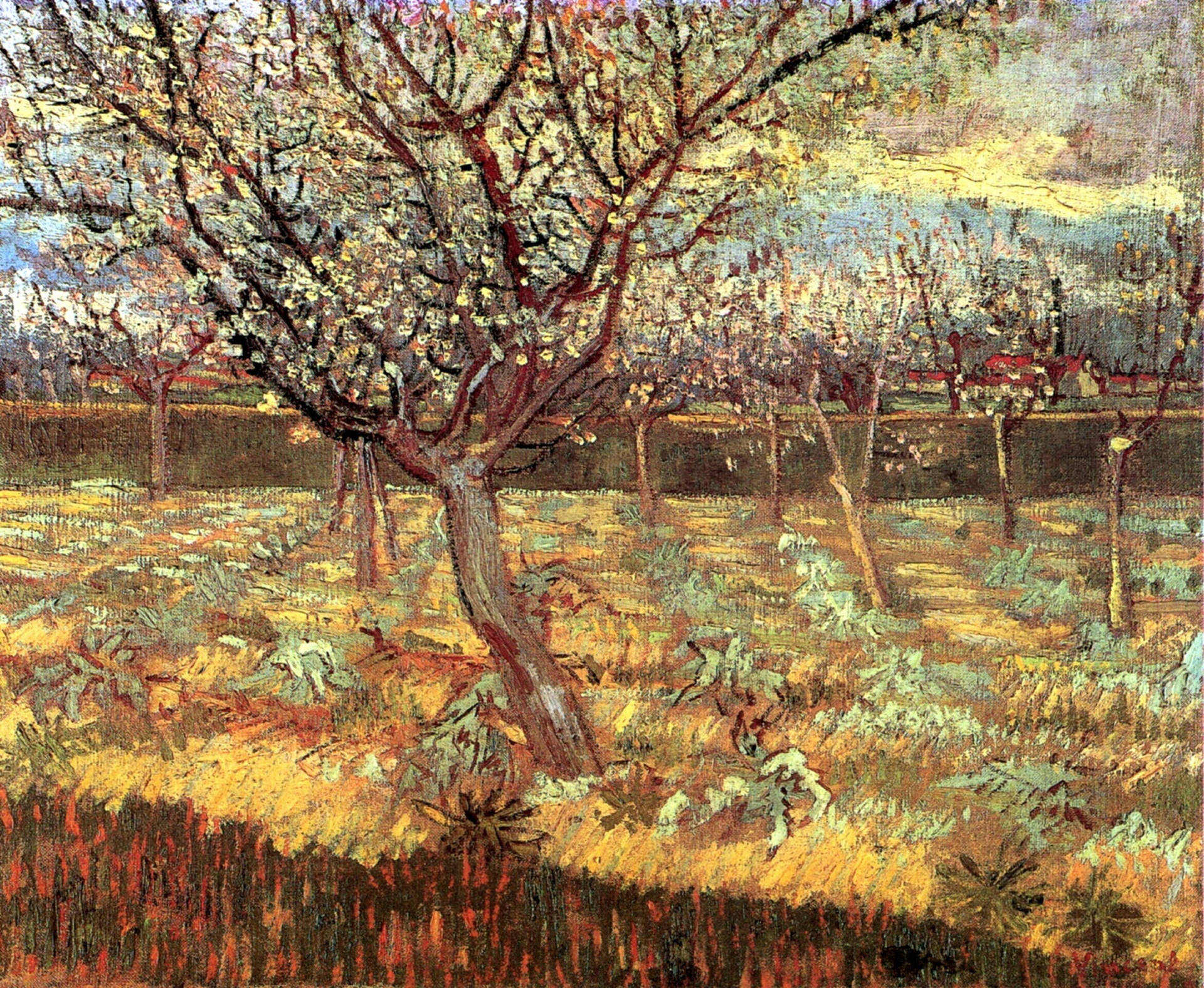 5120X4203 Van Gogh Wallpaper and Background