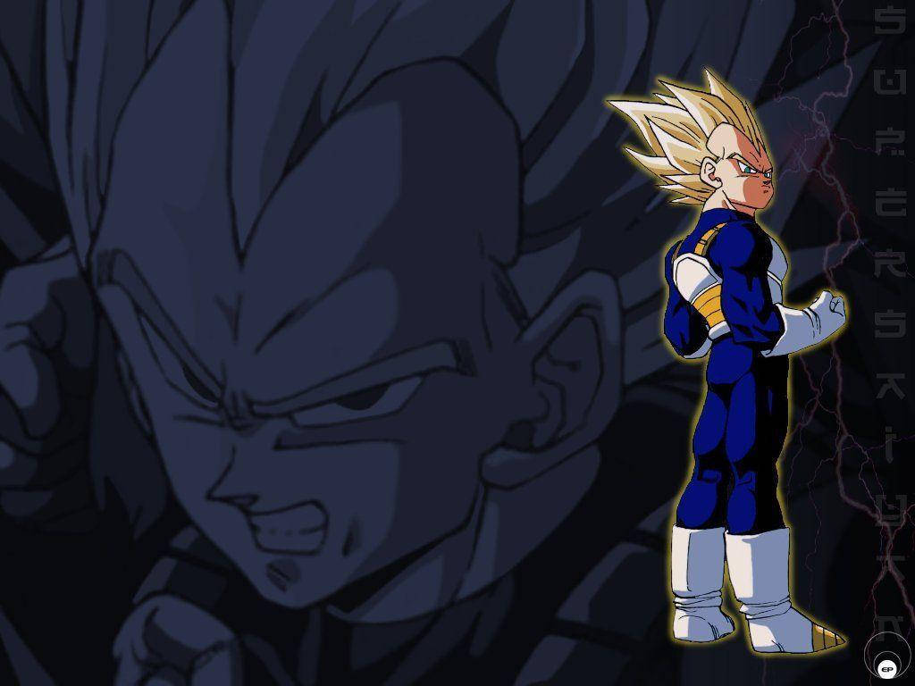 Vegeta 1024X768 Wallpaper and Background Image