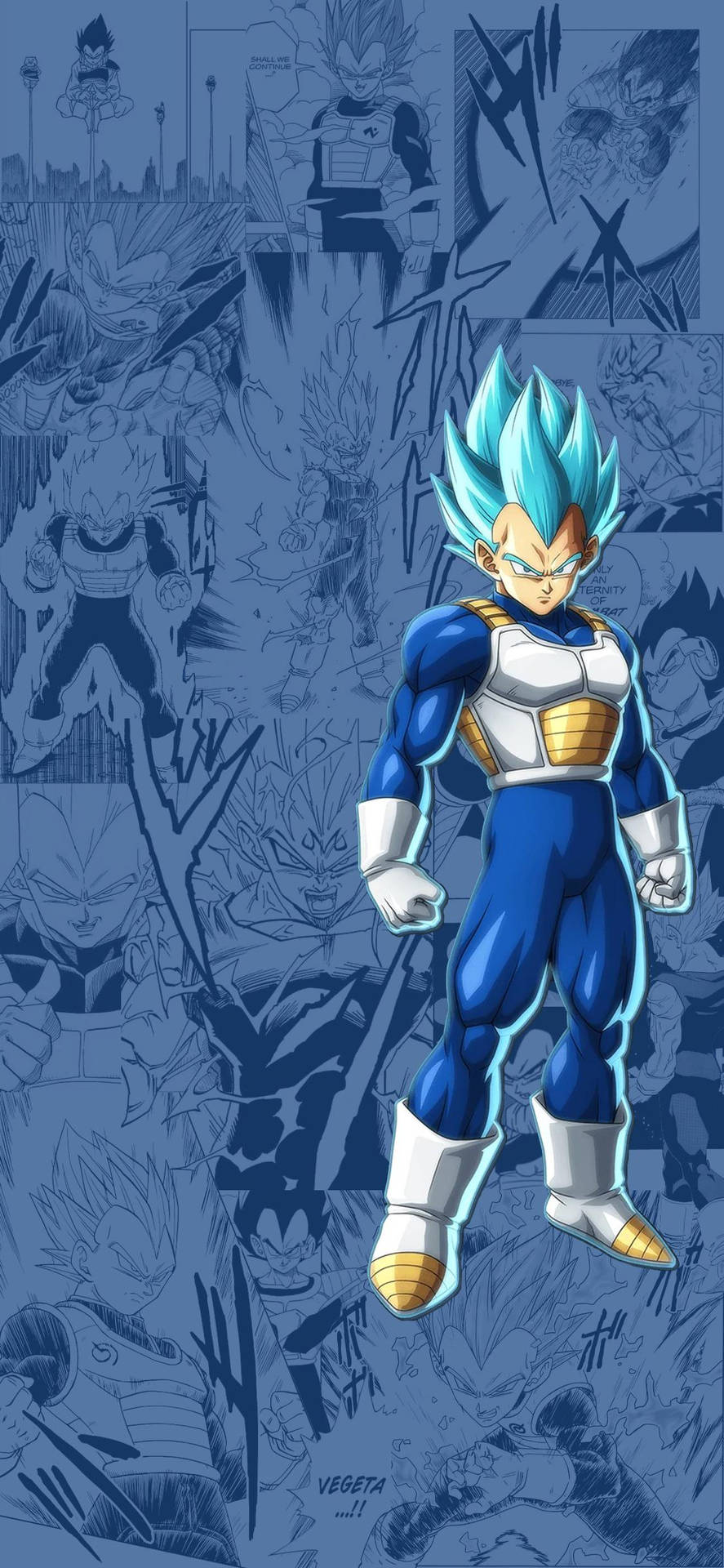 Vegeta 1125X2436 Wallpaper and Background Image