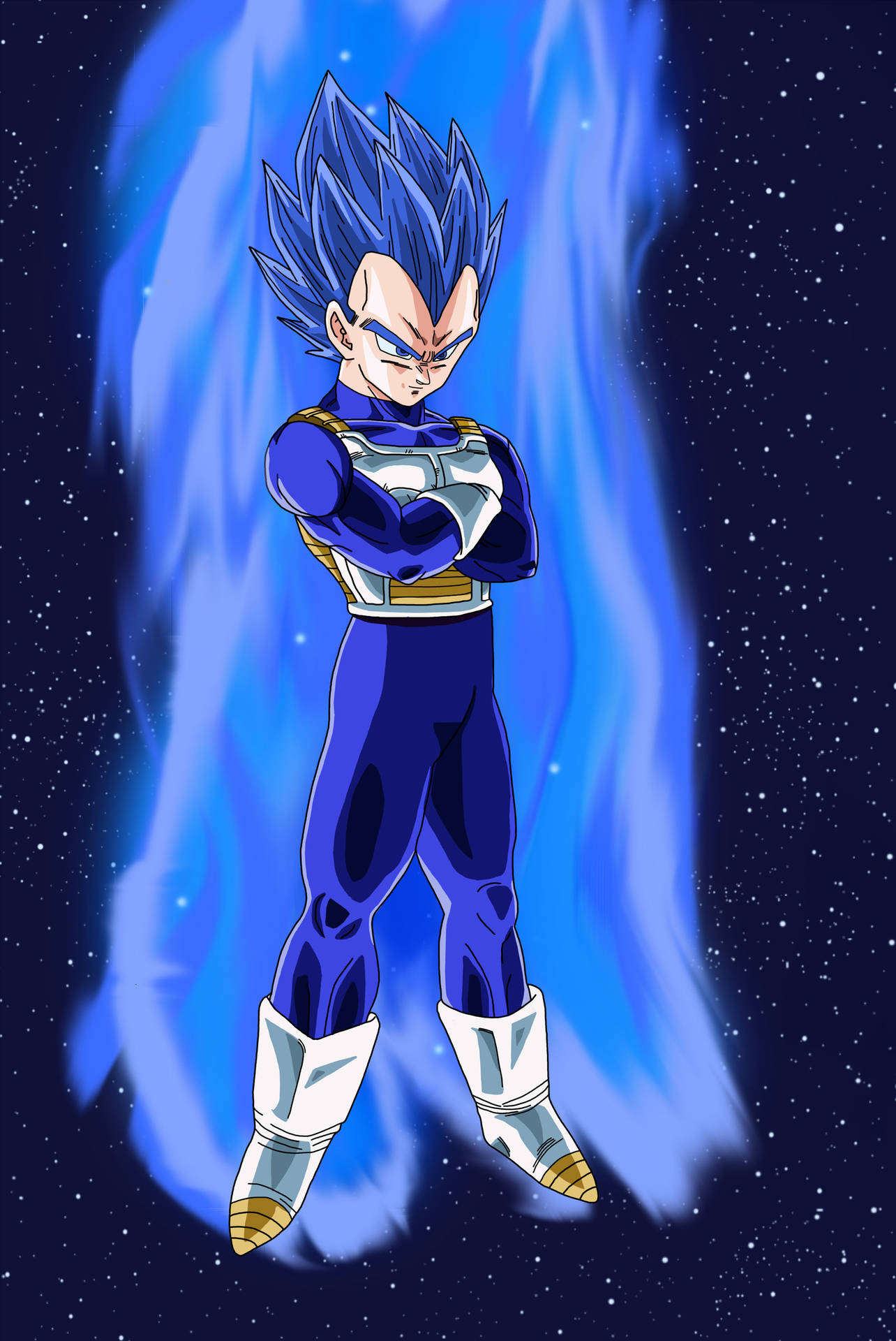 Vegeta 1600X2392 Wallpaper and Background Image