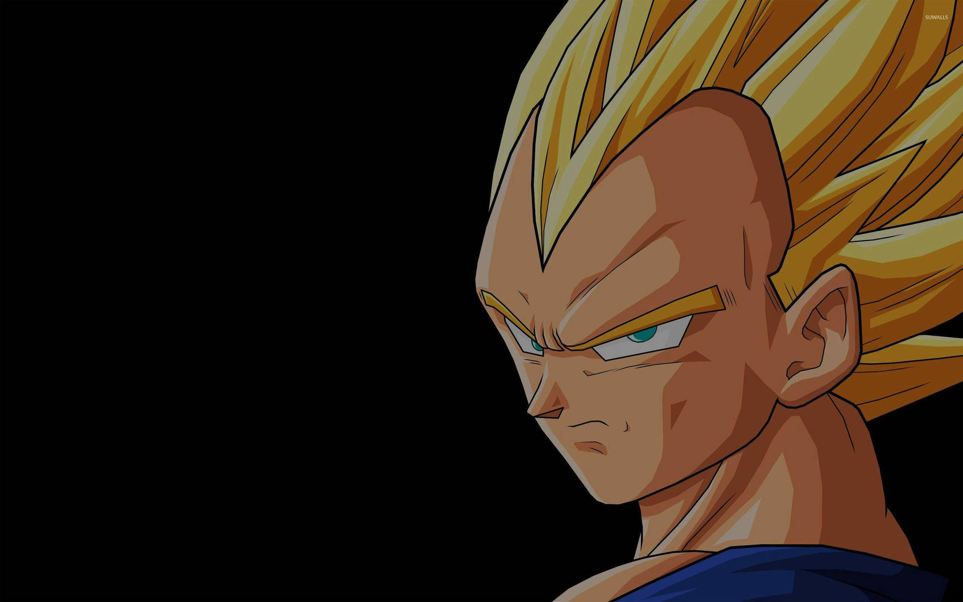 Vegeta 2560X1600 Wallpaper and Background Image