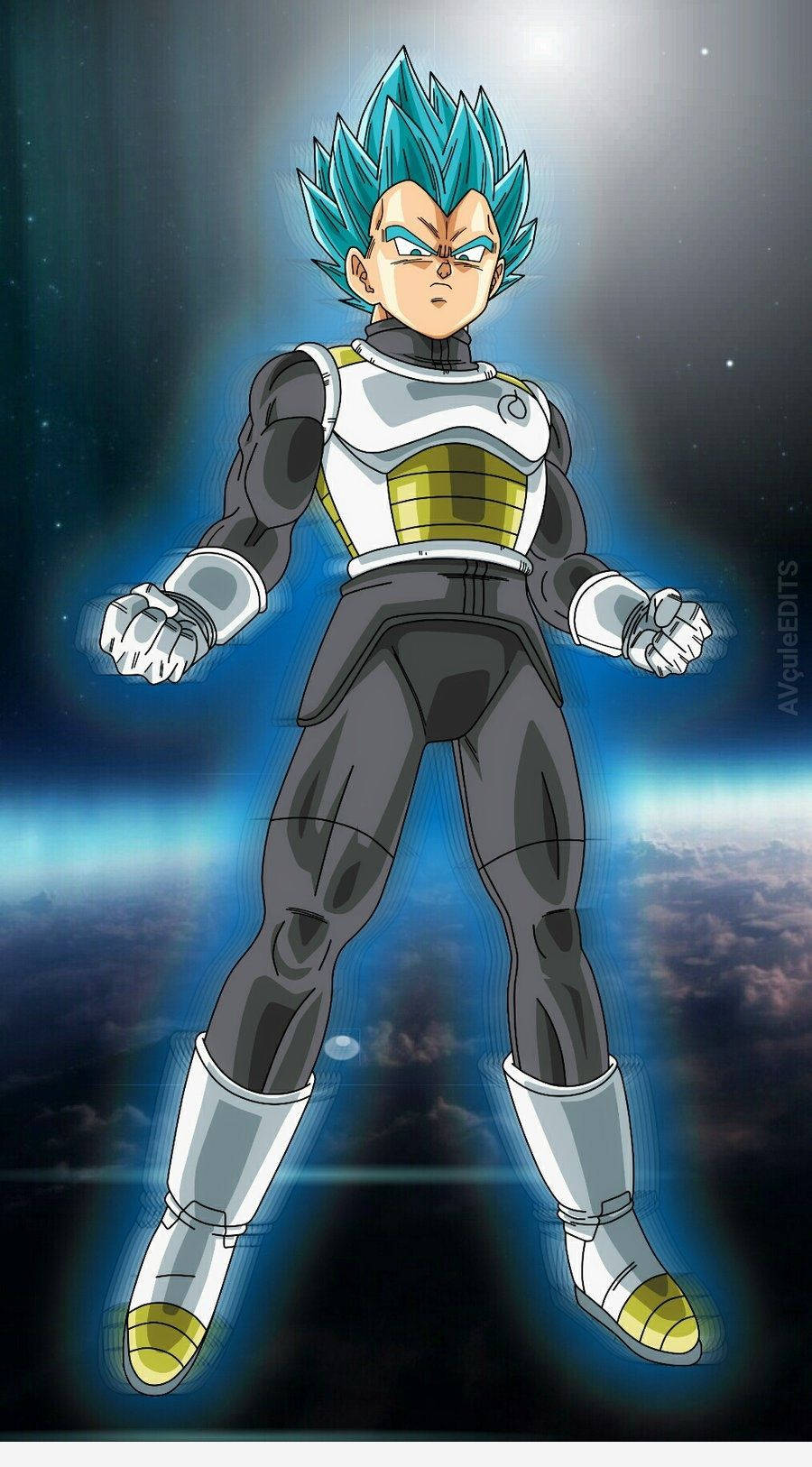 Vegeta 900X1626 Wallpaper and Background Image
