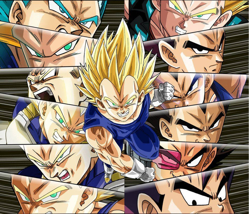 Vegeta 964X828 Wallpaper and Background Image