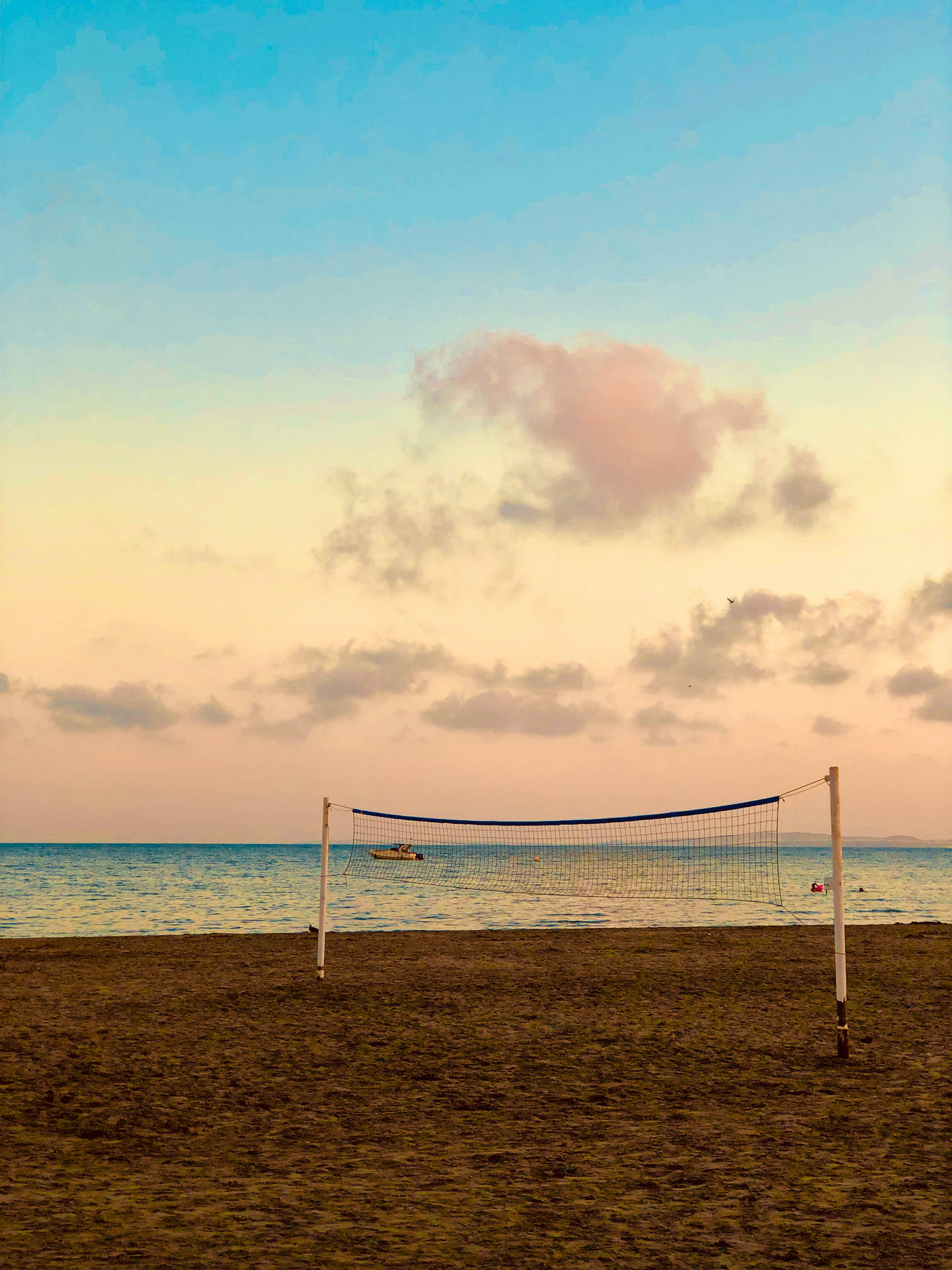 Volleyball 3024X4032 Wallpaper and Background Image