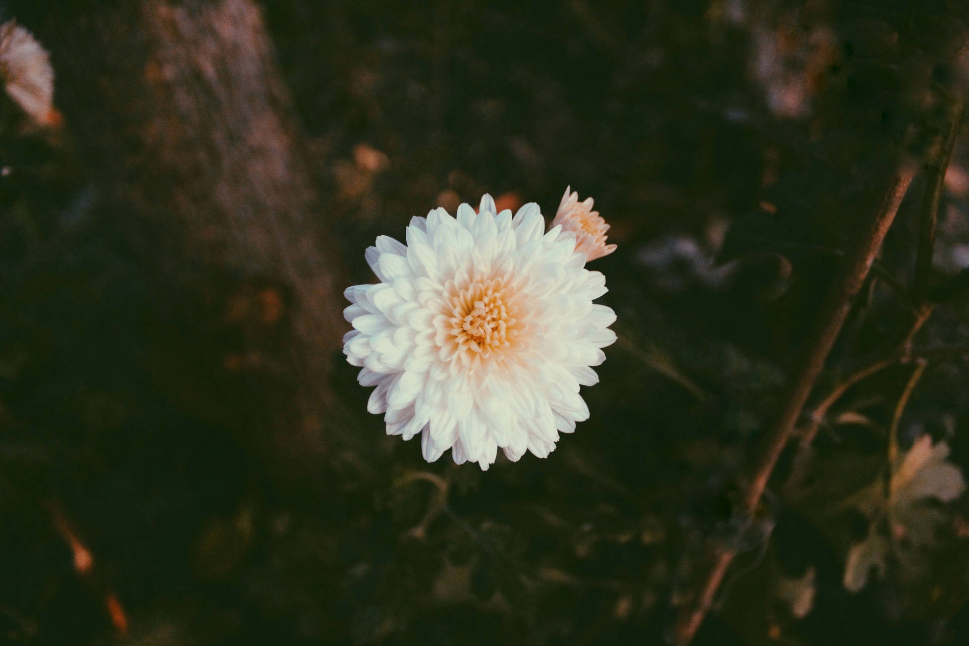 Vsco 5184X3456 Wallpaper and Background Image