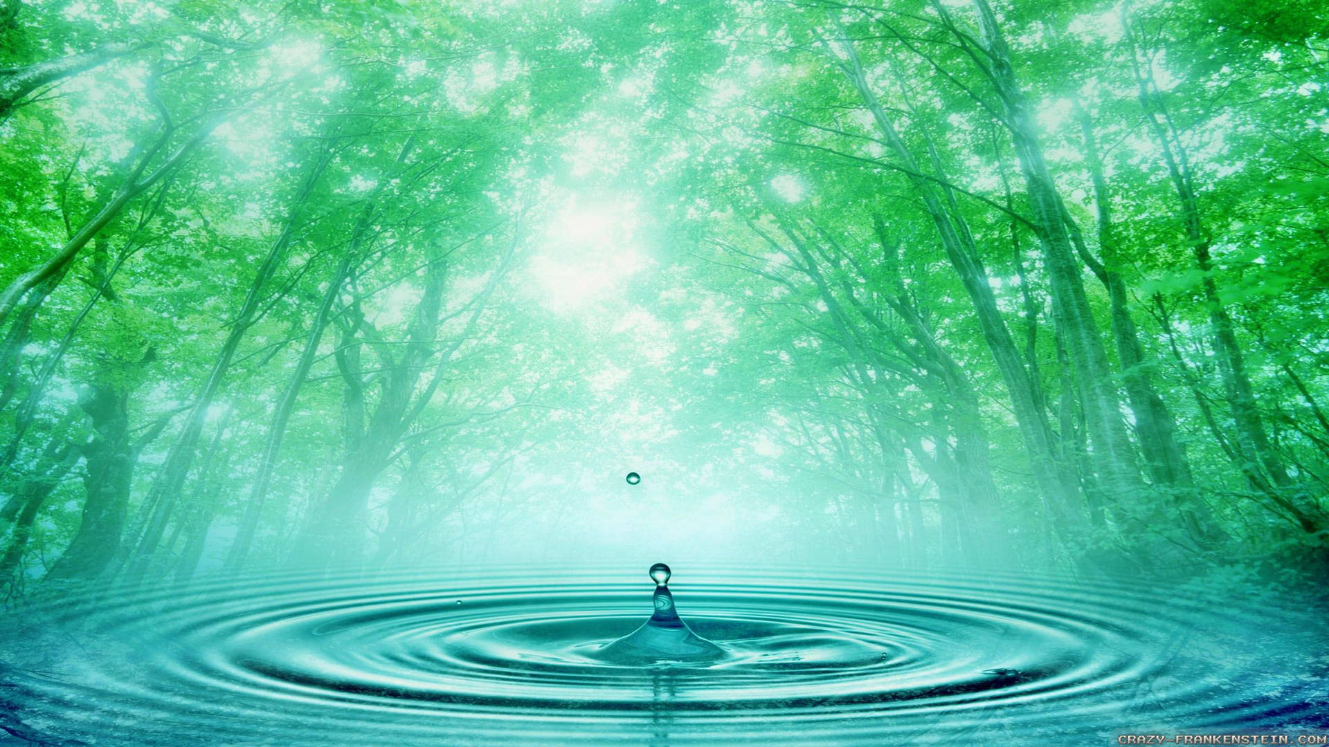 2560X1440 Water Wallpaper and Background