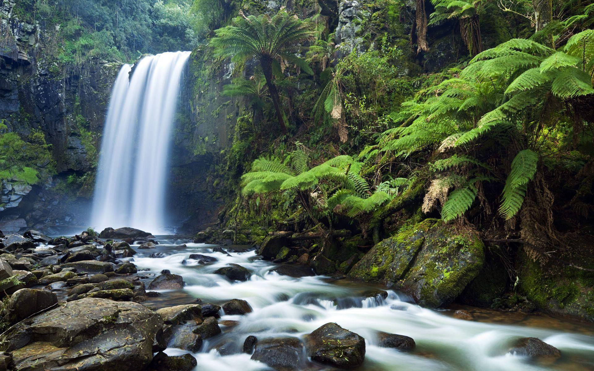 1920X1200 Waterfall Wallpaper and Background