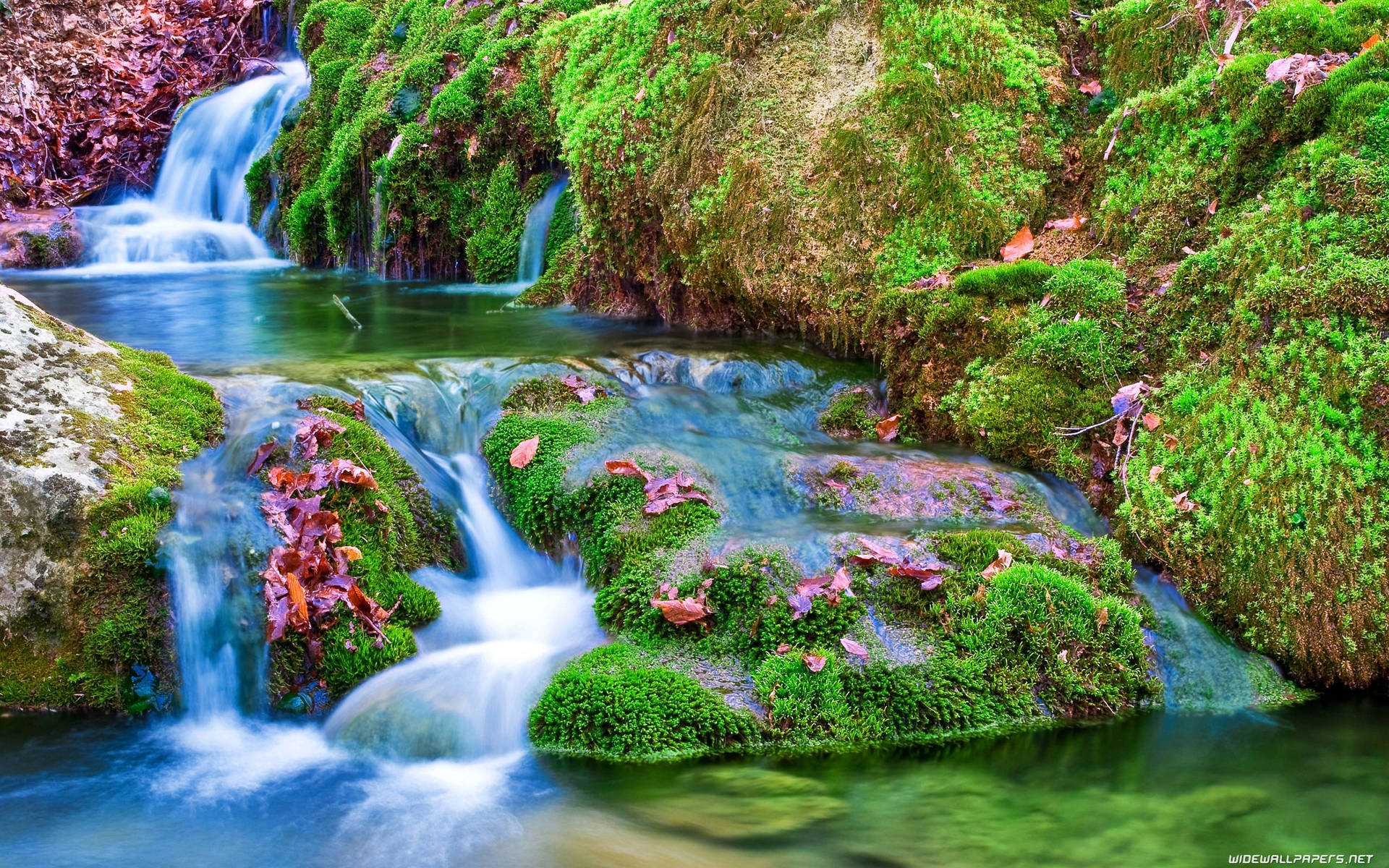 Waterfall 2560X1600 Wallpaper and Background Image