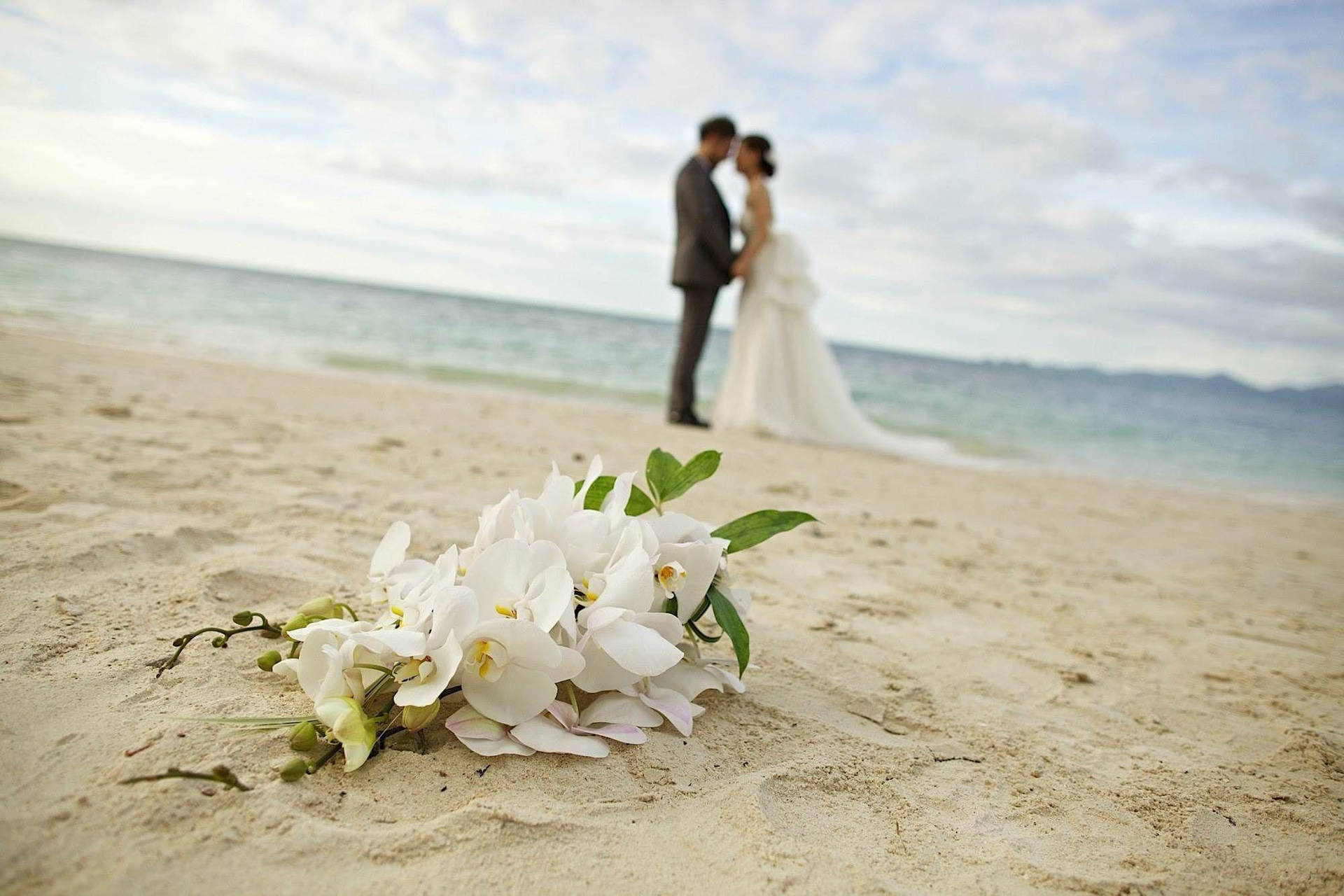 2000X1333 Wedding Wallpaper and Background