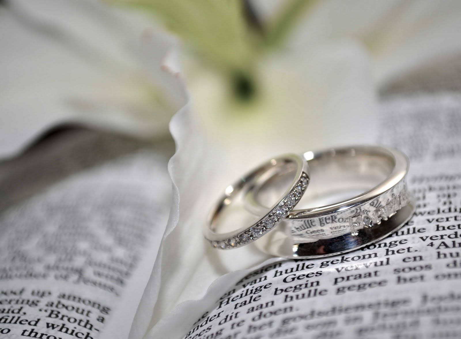 Wedding Rings 1600X1177 Wallpaper and Background Image