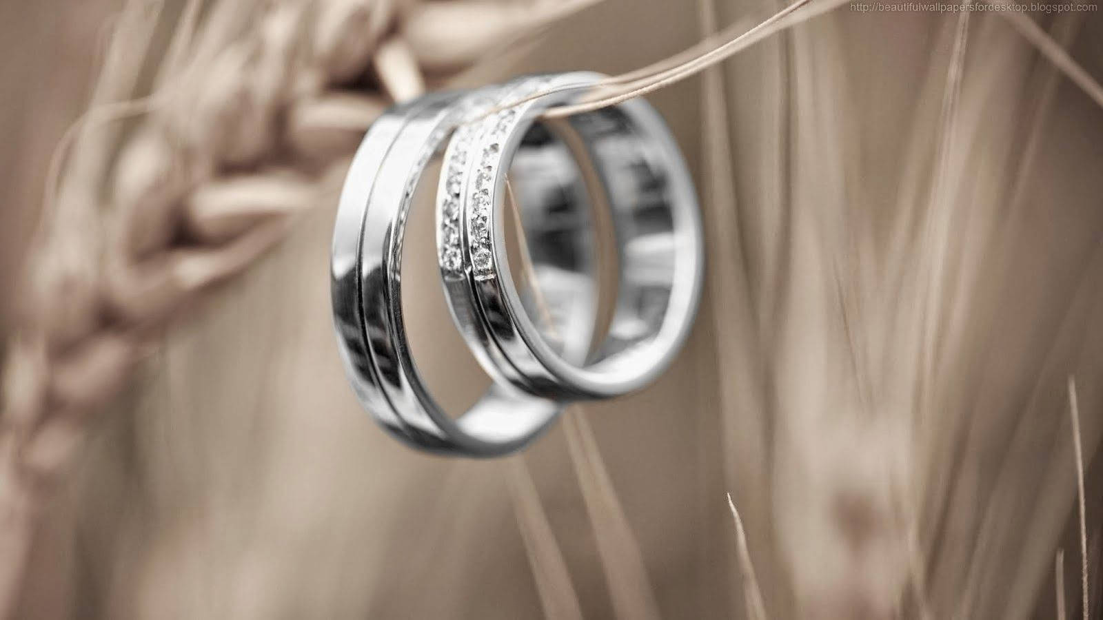1600X900 Wedding Rings Wallpaper and Background