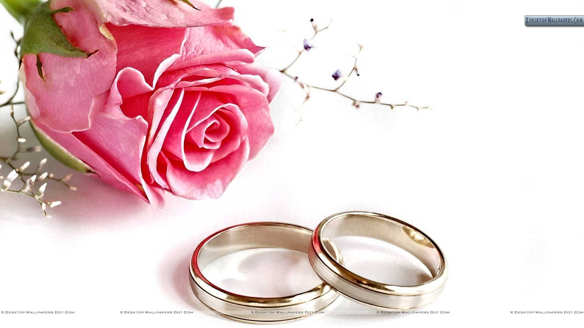Wedding Rings 1920X1080 Wallpaper and Background Image