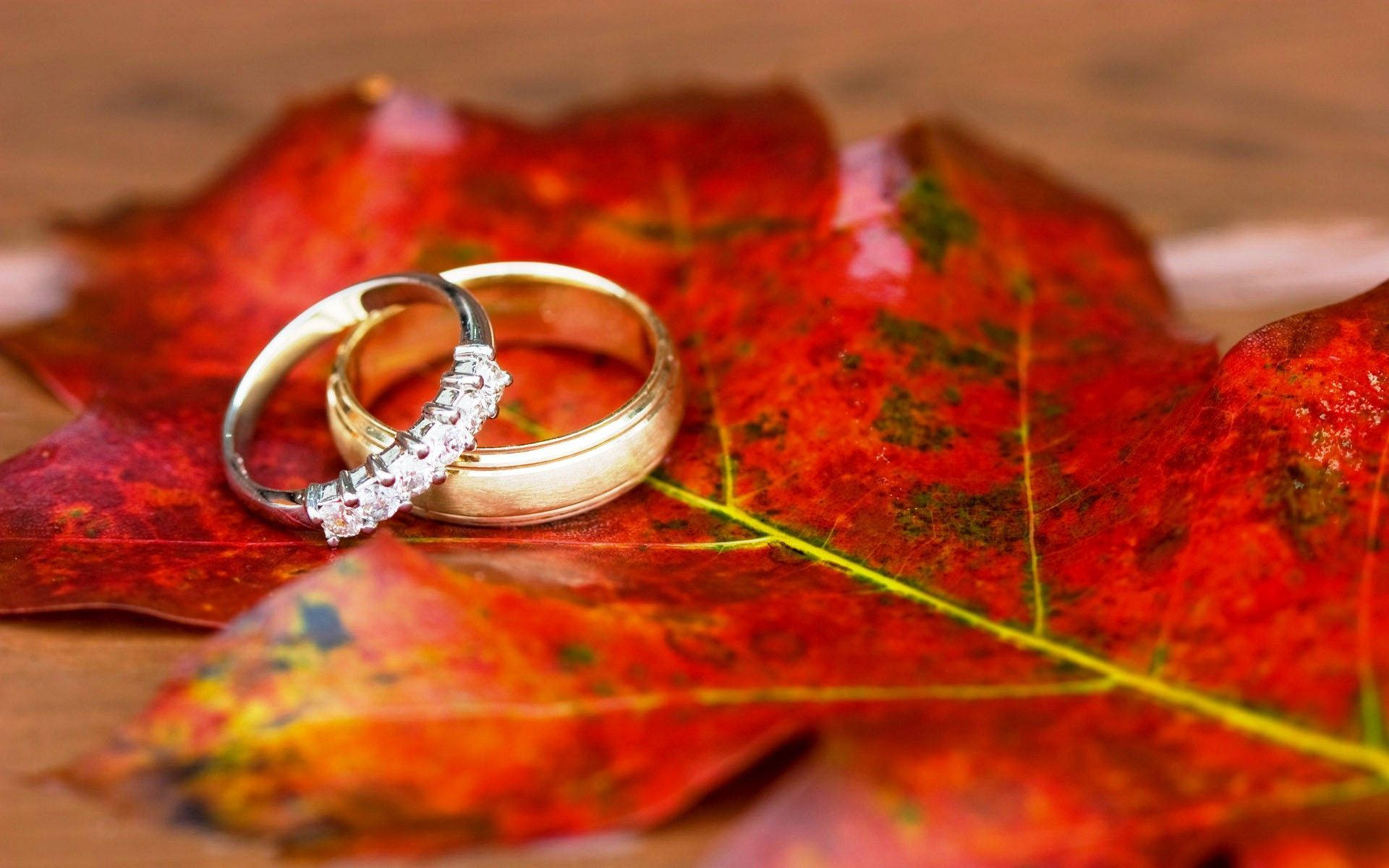 1920X1200 Wedding Rings Wallpaper and Background