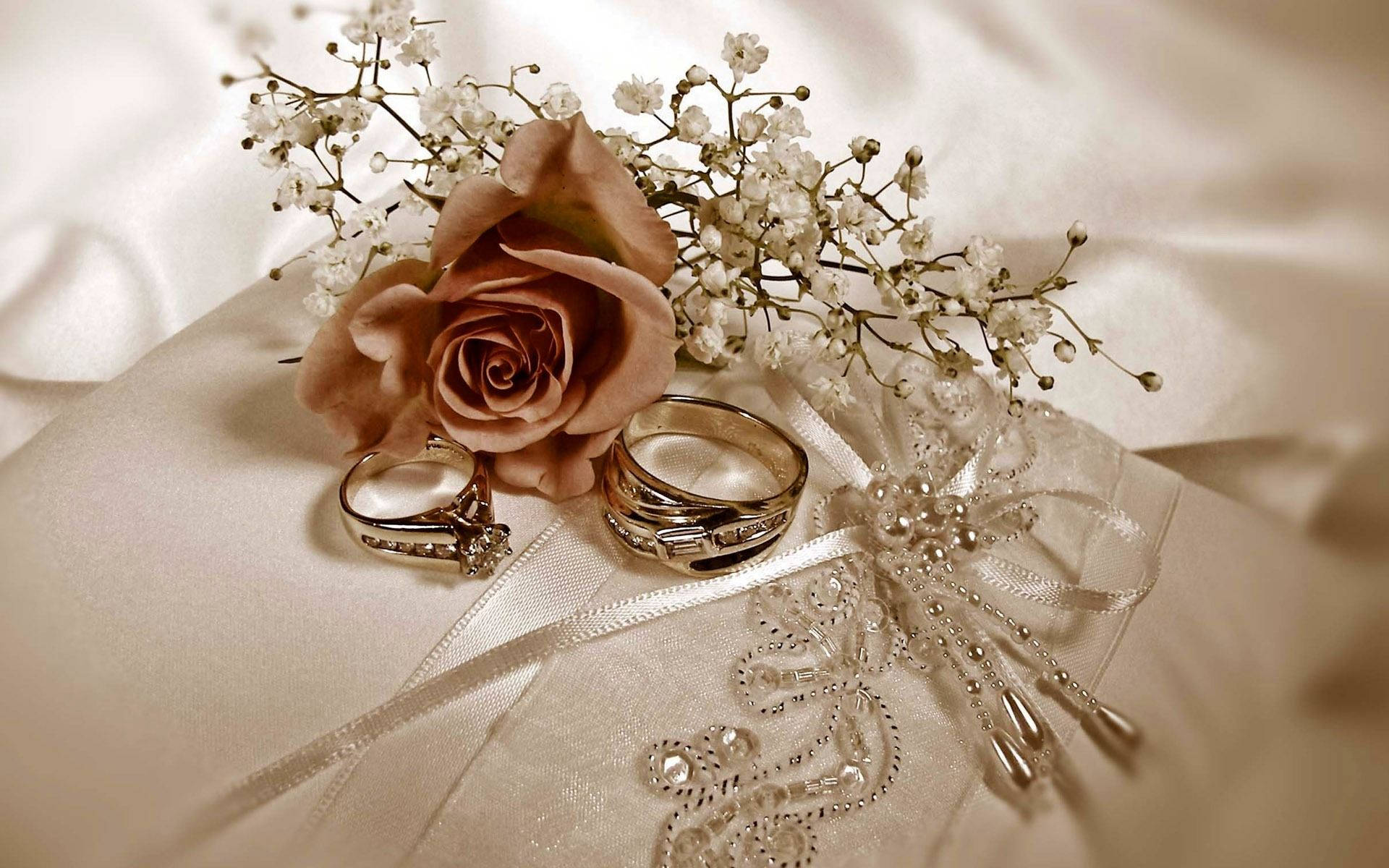 Wedding Rings 1920X1200 Wallpaper and Background Image