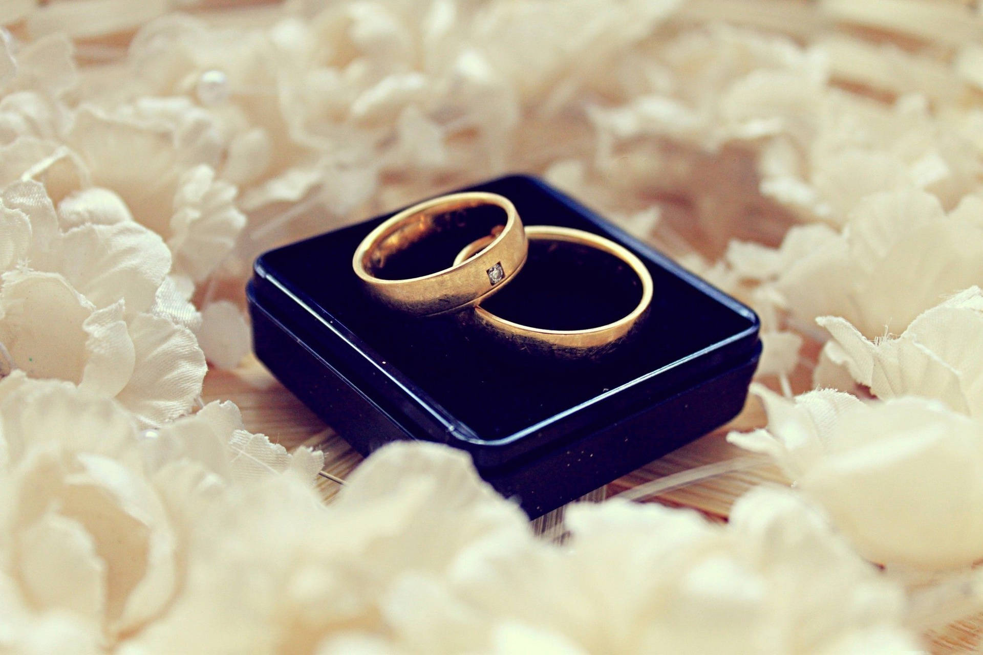2100X1400 Wedding Rings Wallpaper and Background