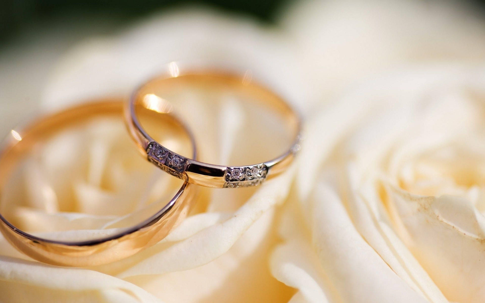 2560X1600 Wedding Rings Wallpaper and Background