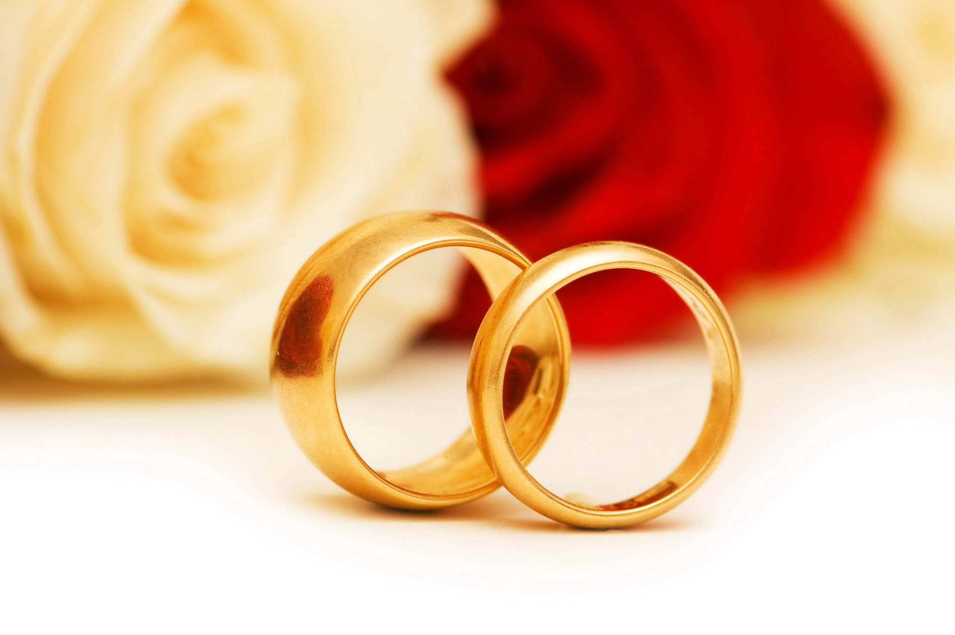 2560X1702 Wedding Rings Wallpaper and Background