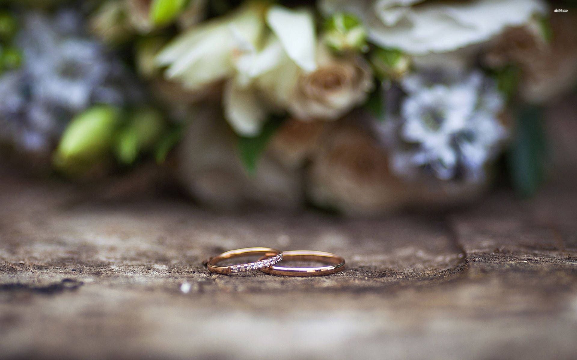 Wedding Rings 2880X1800 Wallpaper and Background Image