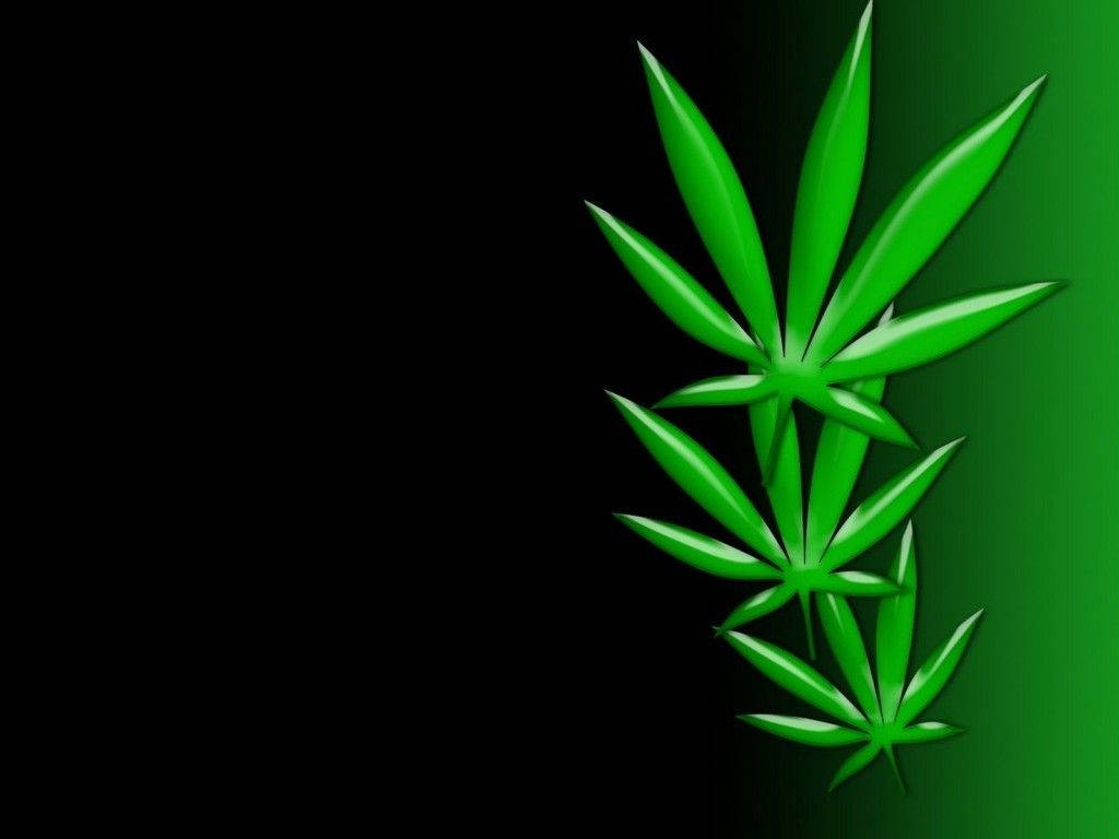 1024X768 Weed Wallpaper and Background