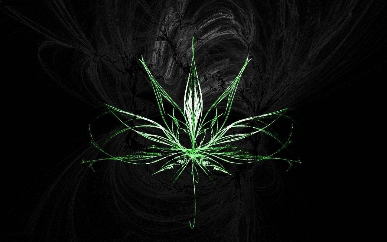 Weed 1280X800 Wallpaper and Background Image