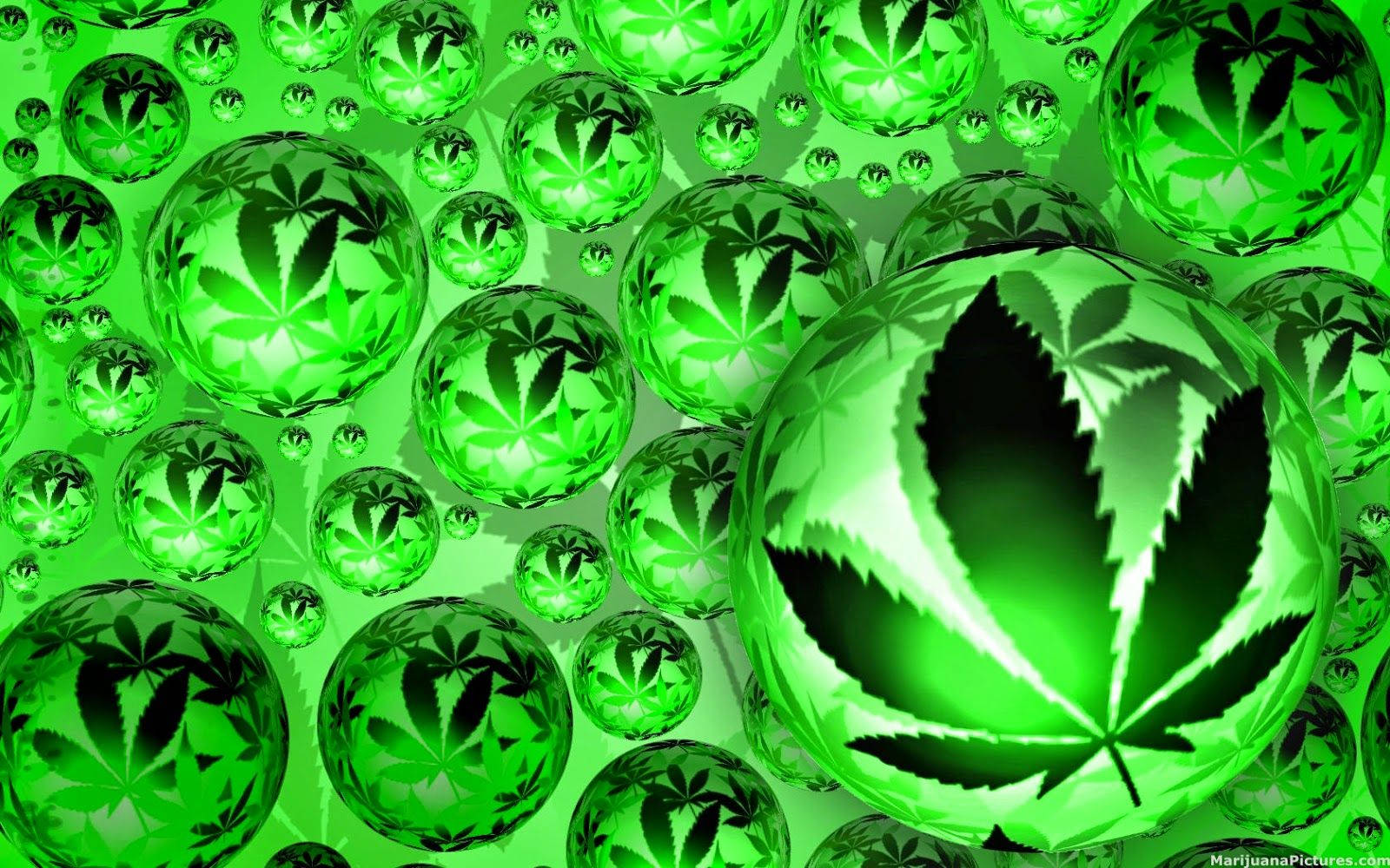 1600X1000 Weed Wallpaper and Background
