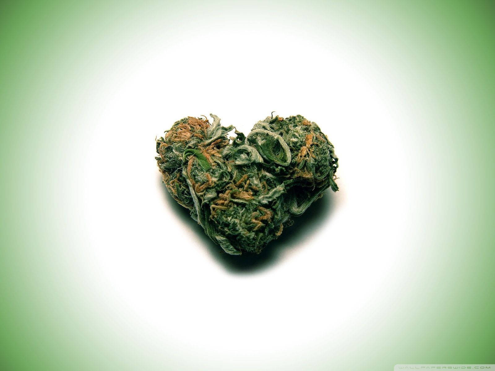 Weed 1600X1200 Wallpaper and Background Image