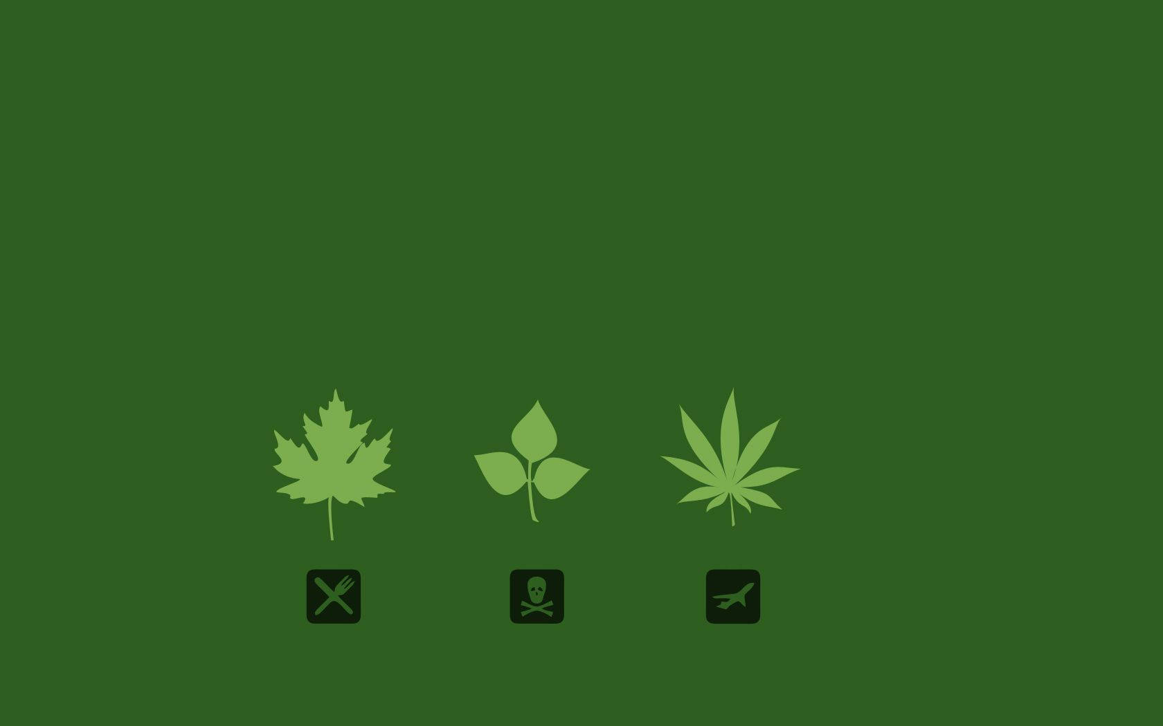 Weed 1680X1050 Wallpaper and Background Image