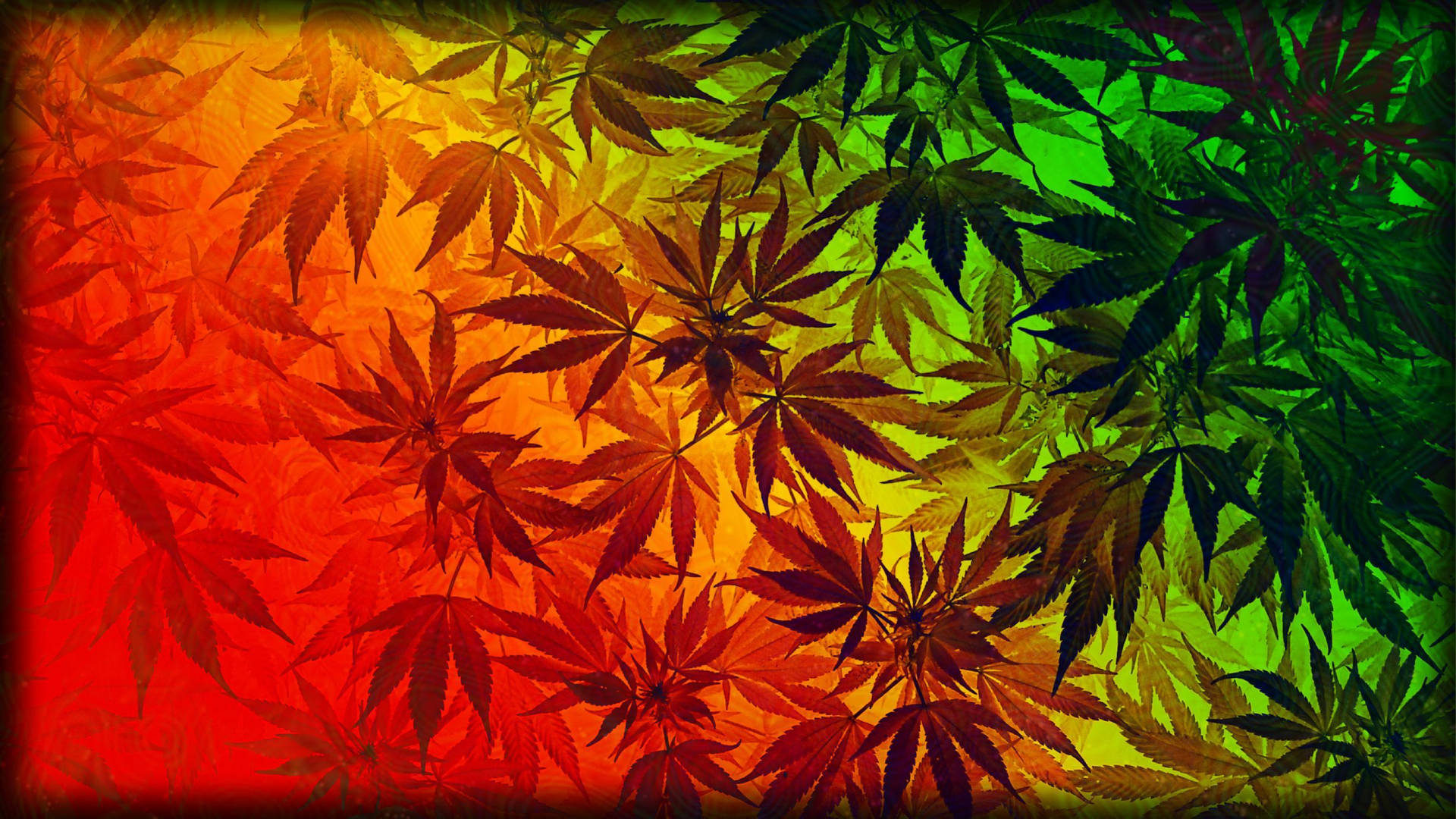 2666X1499 Weed Wallpaper and Background
