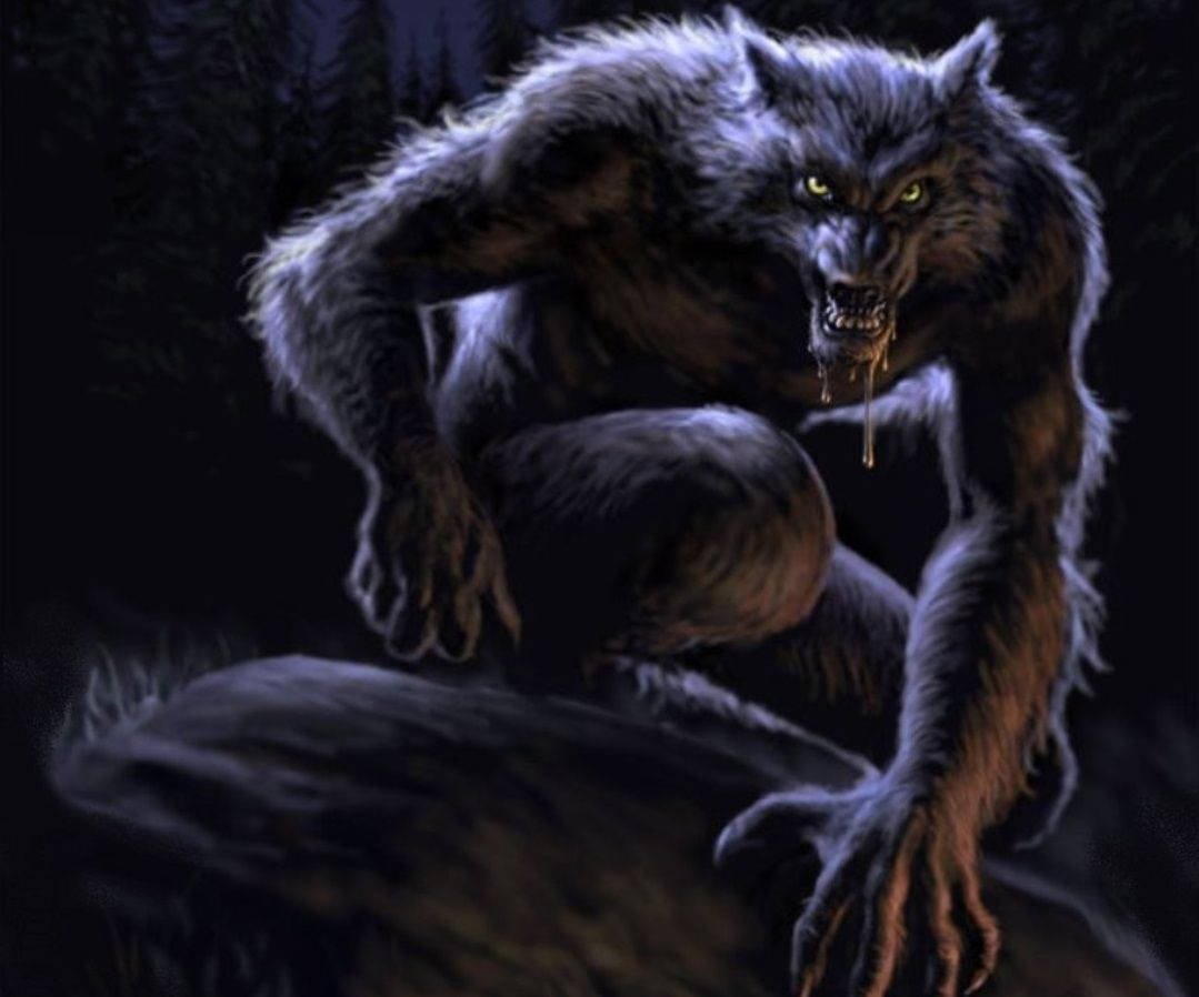 1079X898 Werewolf Wallpaper and Background