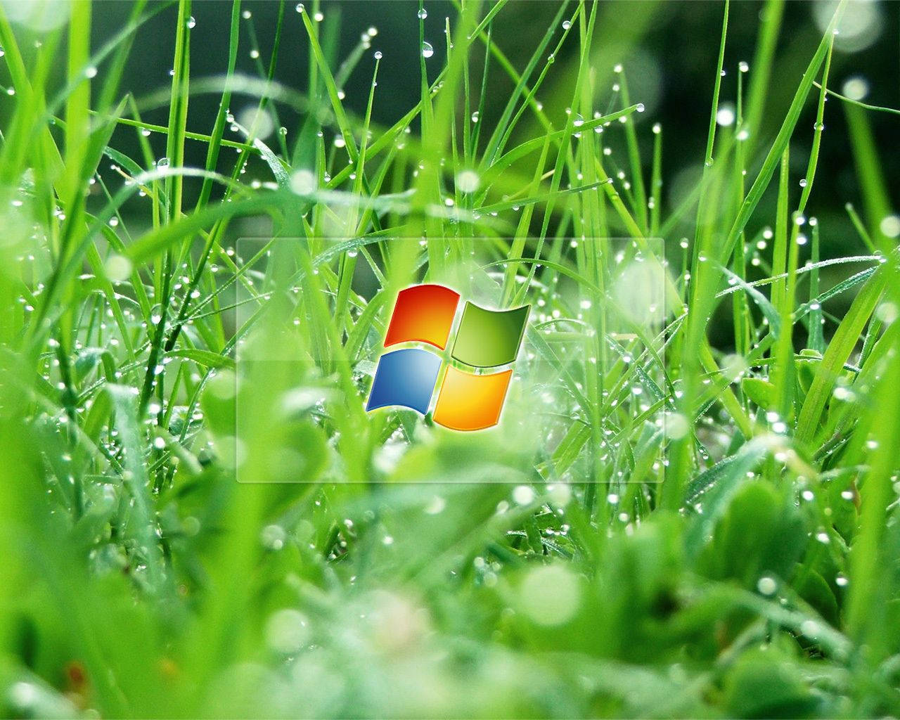 Windows Vista 1280X1024 Wallpaper and Background Image