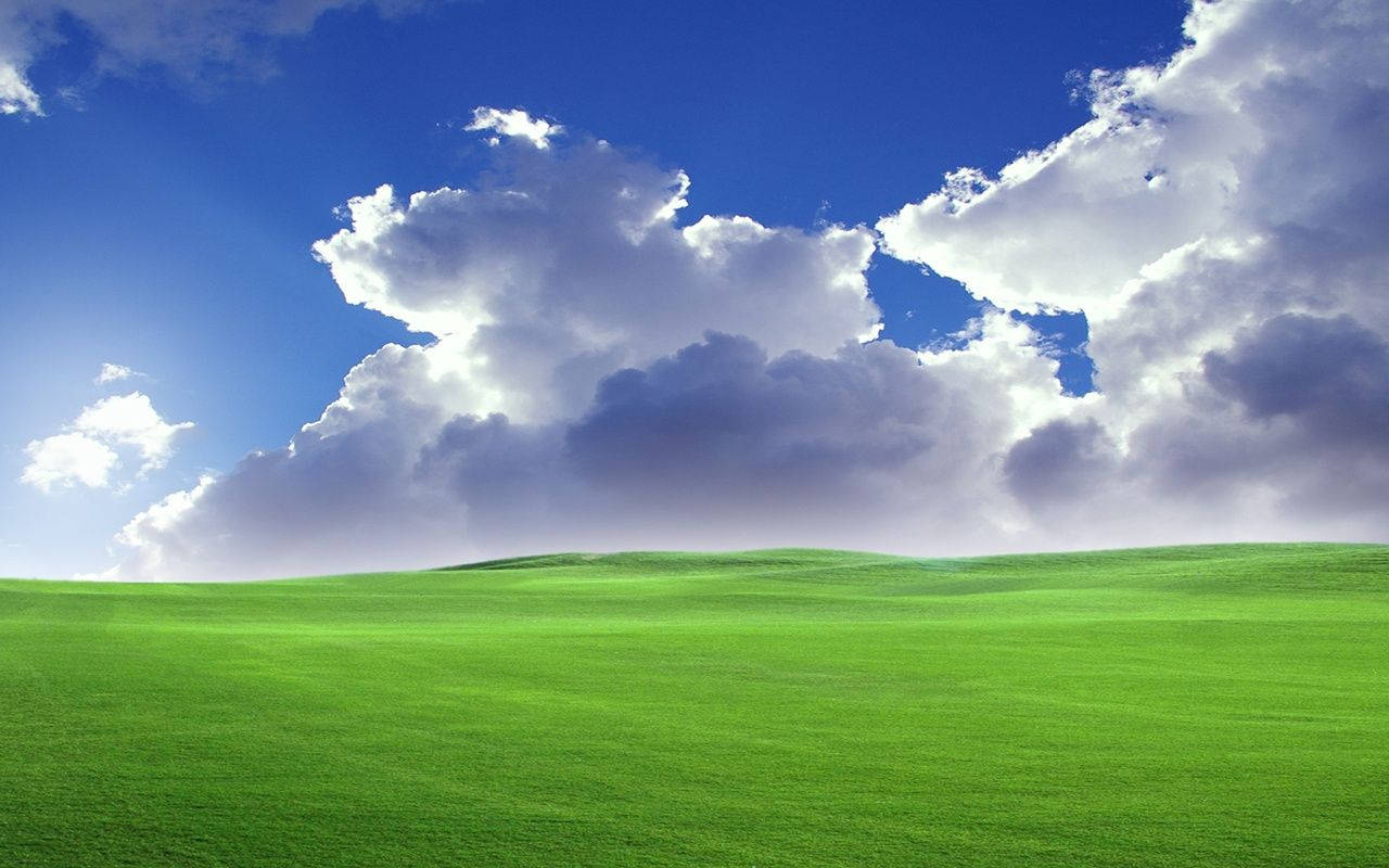 1280X800 Windows Xp Wallpaper and Background
