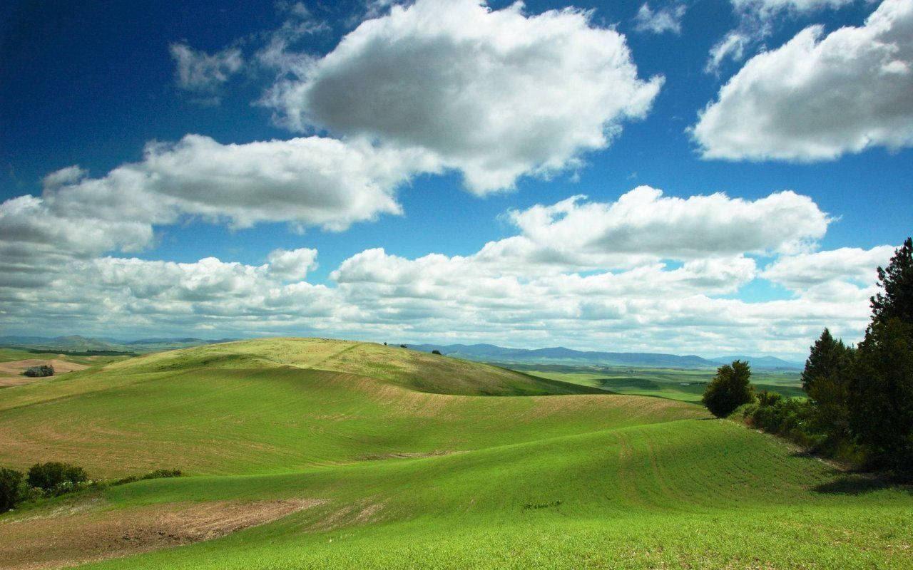 Windows Xp 1280X800 Wallpaper and Background Image