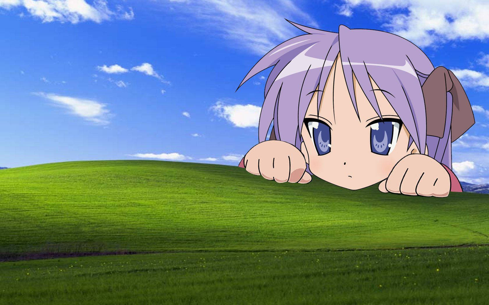 Windows Xp 1680X1050 Wallpaper and Background Image