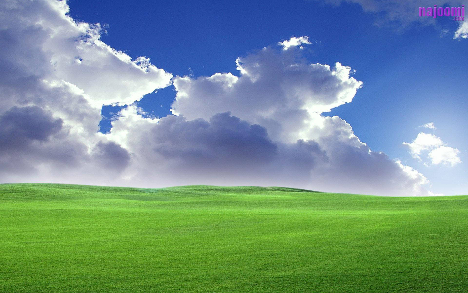 1920X1200 Windows Xp Wallpaper and Background