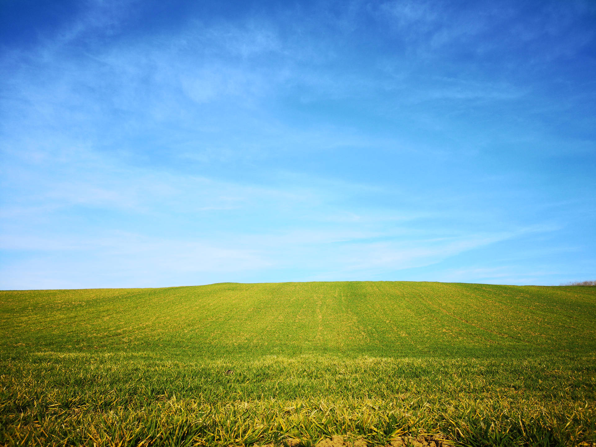 7296X5472 Windows Xp Wallpaper and Background