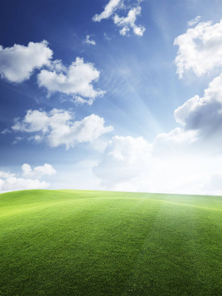 Windows Xp 768X1024 Wallpaper and Background Image