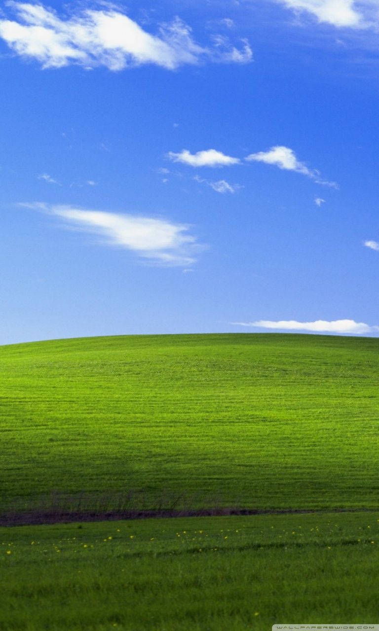 768X1280 Windows Xp Wallpaper and Background